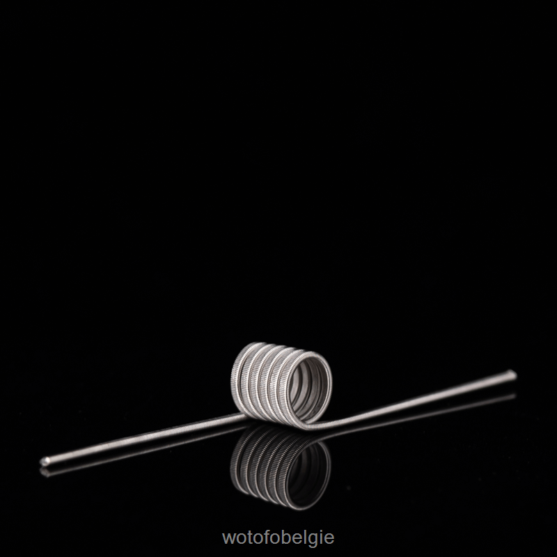 Wotofo ID voorgebouwde spoel dubbele kern gesmolten clapton 0,65 ohm 5 mm 5 stuks - Wotofo E-Cigarette 04BBX347